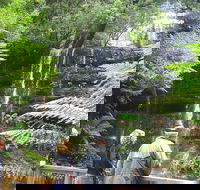Mt Field National Park and Russell Falls from Hobart - Accommodation Search