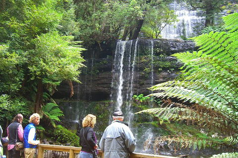 Mt Field National Park And Russell Falls From Hobart - Accommodation Search 0