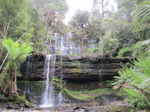 Mt Field National Park And Russell Falls From Hobart - Accommodation Search 4