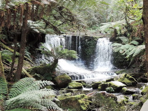 Mt Field National Park And Russell Falls From Hobart - Accommodation Search 2