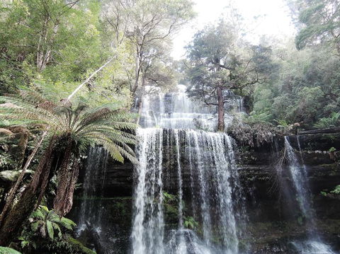 Mt Field National Park And Russell Falls From Hobart - Accommodation Search 3