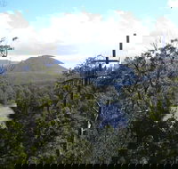 Huon Valley and Tahune Forest Airwalk Tour from Hobart - Accommodation Search
