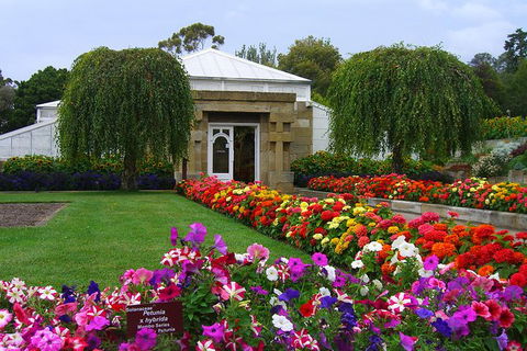 Hobart Shore Excursion: Half-Day City Tour - Accommodation Search 1