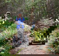 Hollybank Wilderness Adventures - Segway Tour - Accommodation Search