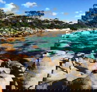 4-Day Tasmania East Coast Adventure from Launceston to Hobart Including Bay of Fires Wineglass Bay Bruny Island and Port Arthu - Accommodation Search