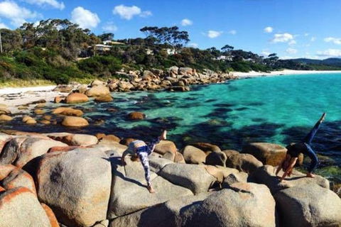 4-Day Tasmania East Coast Adventure From Launceston To Hobart Including Bay Of Fires, Wineglass Bay, Bruny Island And Port Arthu - Accommodation Search 0