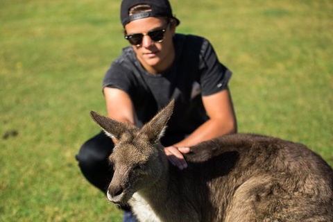 4-Day Tasmania East Coast Adventure From Launceston To Hobart Including Bay Of Fires, Wineglass Bay, Bruny Island And Port Arthu - Accommodation Search 6