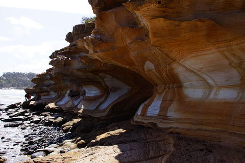 Maria Island National Park - Day Walk And Picnic Lunch - Accommodation Search 17