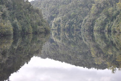 Gordon River Cruise Departing From Strahan - Accommodation Search 17