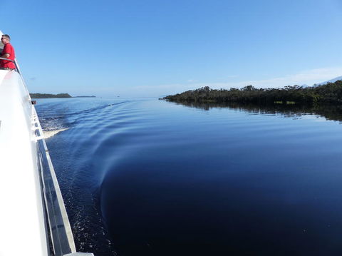 Gordon River Cruise Departing From Strahan - Accommodation Search 3