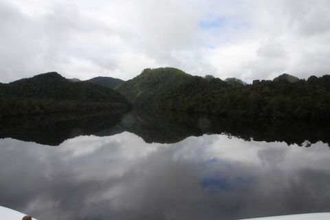 Gordon River Cruise Departing From Strahan - Accommodation Search 18