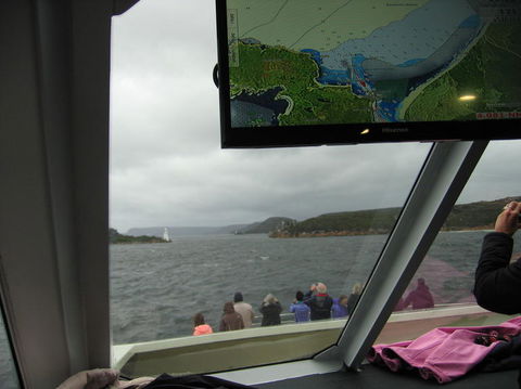 Gordon River Cruise Departing From Strahan - Accommodation Search 5