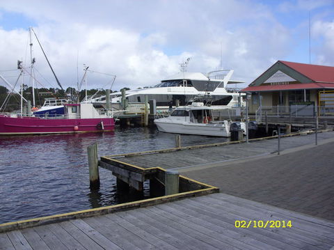 Gordon River Cruise Departing From Strahan - Accommodation Search 14