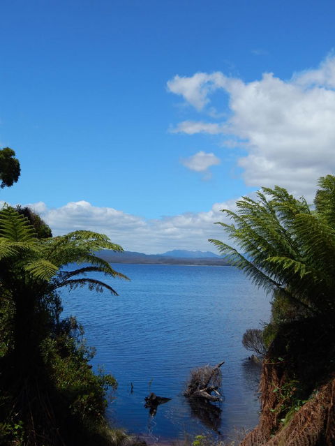 Gordon River Cruise Departing From Strahan - Accommodation Search 20