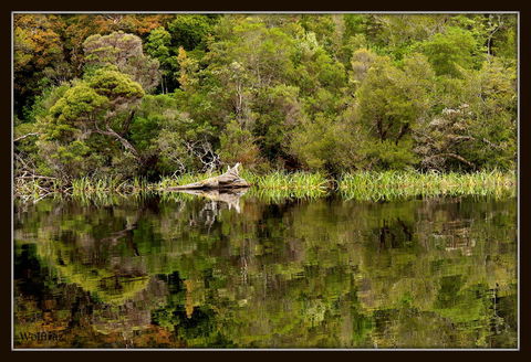 Gordon River Cruise Departing From Strahan - Accommodation Search 12