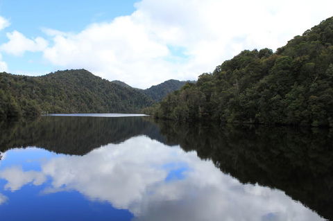 Gordon River Cruise Departing From Strahan - Accommodation Search 21