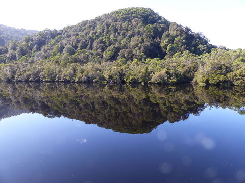 Gordon River Cruise Departing From Strahan - Accommodation Search 4