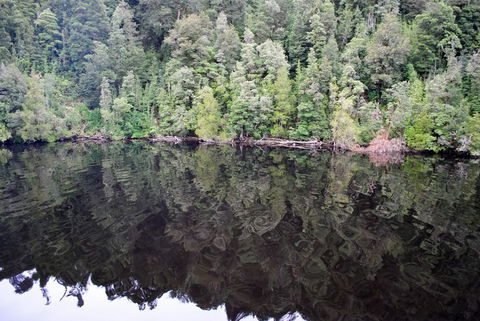 Gordon River Cruise Departing From Strahan - Accommodation Search 24