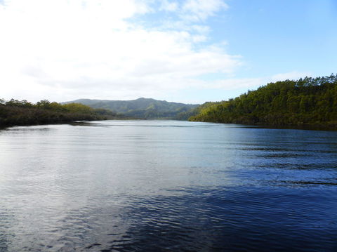 Gordon River Cruise Departing From Strahan - Accommodation Search 10