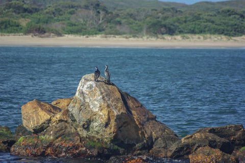 Gordon River Cruise Departing From Strahan - Accommodation Search 11