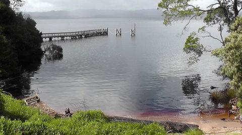 Gordon River Cruise Departing From Strahan - Accommodation Search 22