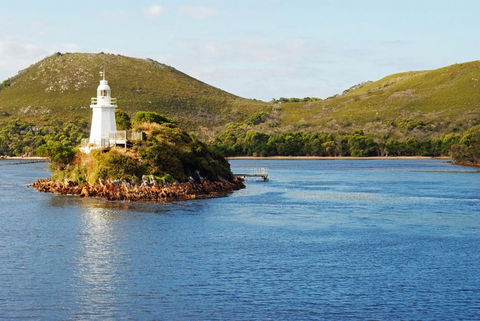 Gordon River Cruise Departing From Strahan - Accommodation Search 25