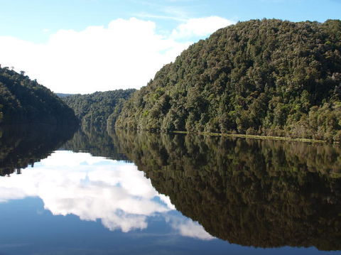 Gordon River Cruise Departing From Strahan - Accommodation Search 16