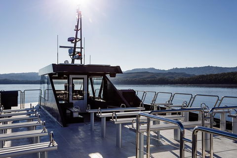 Gordon River Cruise Departing From Strahan - Accommodation Search 36
