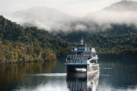 Gordon River Cruise Departing From Strahan - Accommodation Search 35