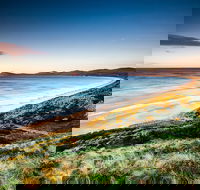 Full-Day Guided Bruny Island Tour from Hobart - Accommodation Search