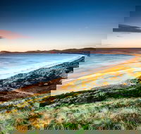 2 Day - Two of Tasmania's Best Tour - Accommodation Search