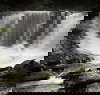 Mt Field National Park premium private photo-oriented day tour from Hobart - Accommodation Search
