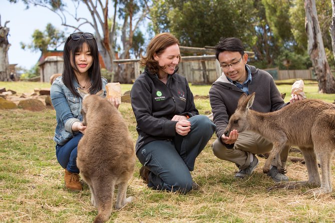 Mount Stuart TAS Accommodation Search