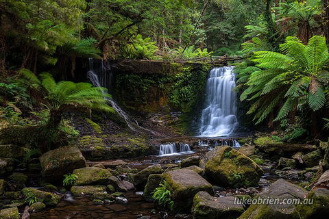 Mt Field And Styx Valley Photography Tour - Accommodation Search 3