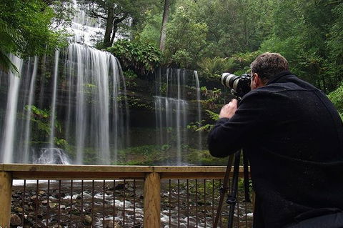 Mt Field And Styx Valley Photography Tour - Accommodation Search 2