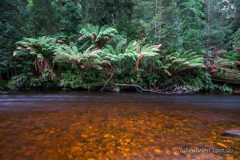 Mt Field And Styx Valley Photography Tour - Accommodation Search 7