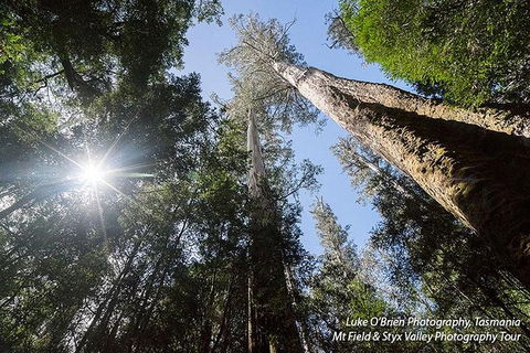 Mt Field And Styx Valley Photography Tour - Accommodation Search 4