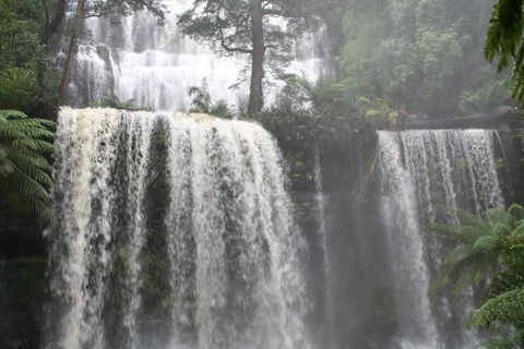Small-group Tour From Hobart: Derwent River Valley And Coal River Valley - Accommodation Search 0