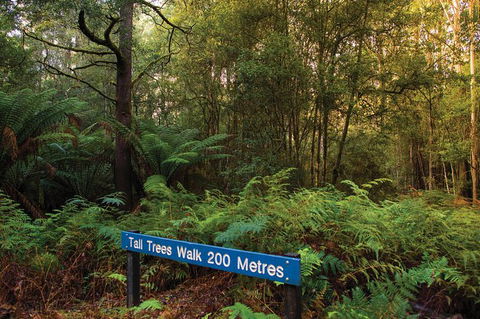 Small-group Tour From Hobart: Derwent River Valley And Coal River Valley - Accommodation Search 7