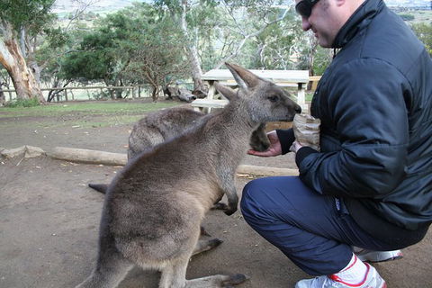 Small-group Tour From Hobart: Native Flora And Fauna, Incl. Royal Bot. Gardens - Accommodation Search 1