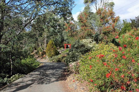 Small-group Tour From Hobart: Native Flora And Fauna, Incl. Royal Bot. Gardens - Accommodation Search 11