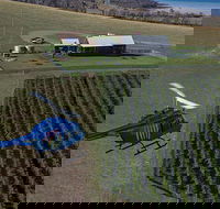 Bangor Vineyard Shed Helicopter Tour - Accommodation Search