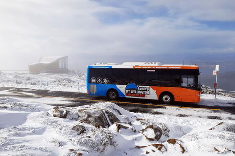 Kunany / Mt Wellington Explorer Bus - 2 Hour Return Tour - Accommodation Search 7