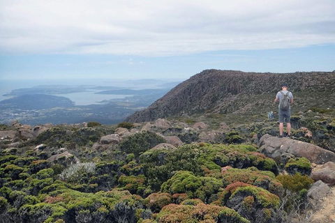Kunany / Mt Wellington Explorer Bus - 2 Hour Return Tour - Accommodation Search 4