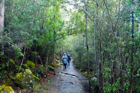 Kunany / Mt Wellington Explorer Bus - 2 Hour Return Tour - Accommodation Search 5
