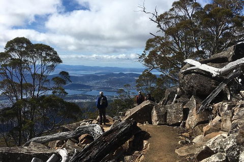 Kunany / Mt Wellington Explorer Bus - 2 Hour Return Tour - Accommodation Search 9