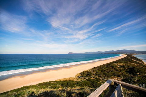 Private Bruny Island Food And Wine Day Trip From Hobart - Accommodation Search 1
