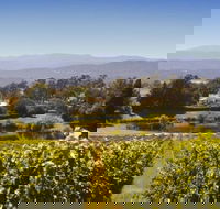 Josef Chromy Wines Winery Tour Including Tasting and Lunch - Accommodation Search