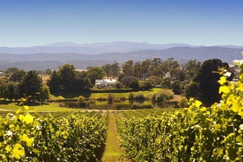 Josef Chromy Wines Winery Tour Including Tasting And Lunch - Accommodation Search 0