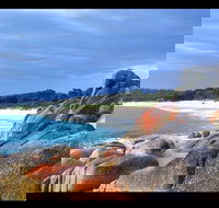 Bay of Fires Day Trip from Launceston - Accommodation Search